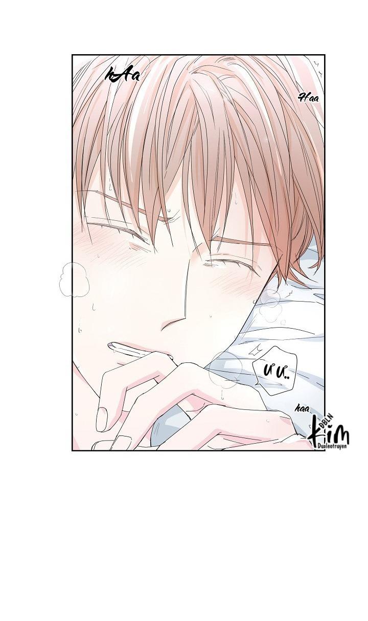 Đọc truyện MÁU CỦA TÔI KHÔNG ĐƯỢC ĐÂU - Chapter 24