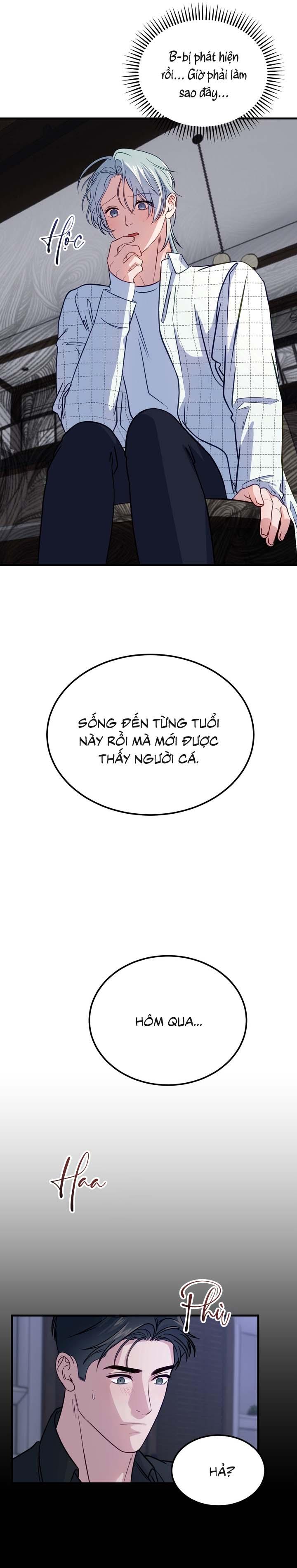Đọc truyện Người Cá Biến Mất - Chapter 4