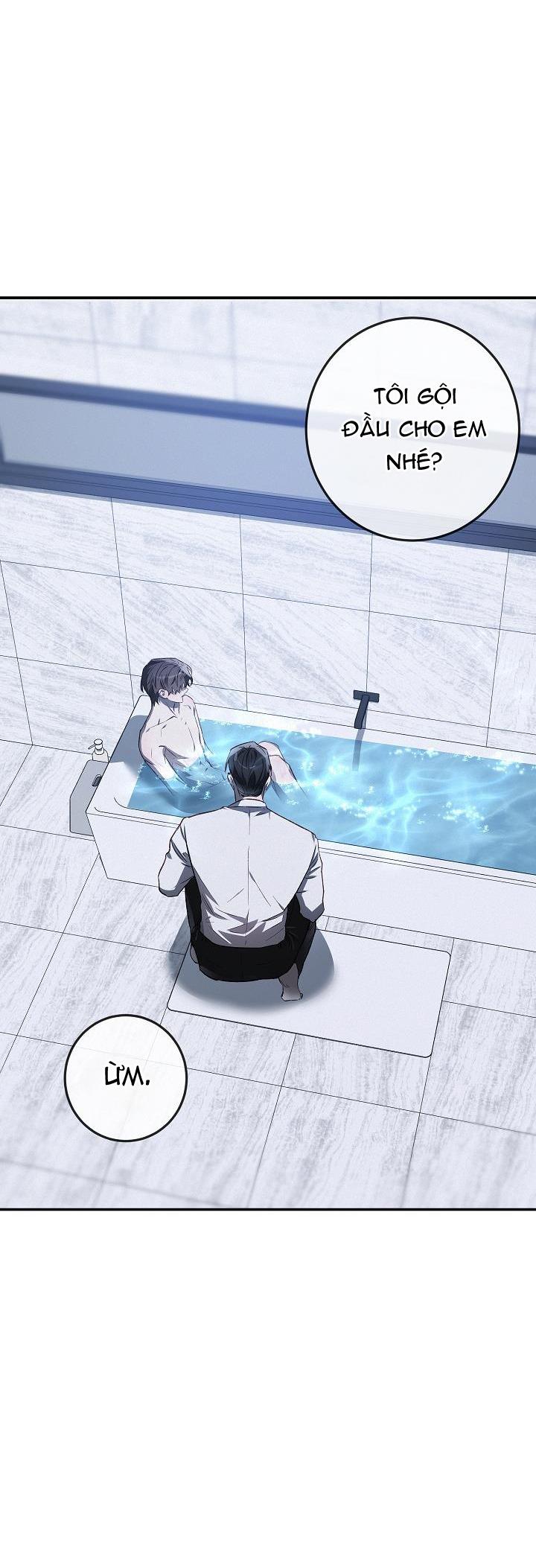 Đọc truyện BẢO VẬT - Chapter 19