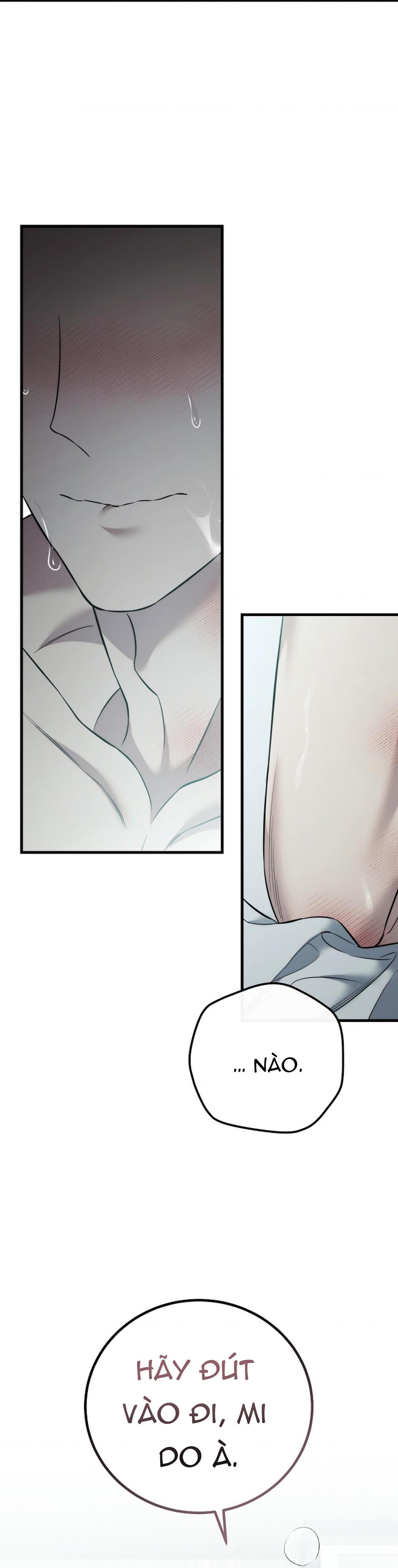 Đọc truyện (ABO) MỐI QUAN HỆ KHÔNG HOÀN CHỈNH - Chapter 50