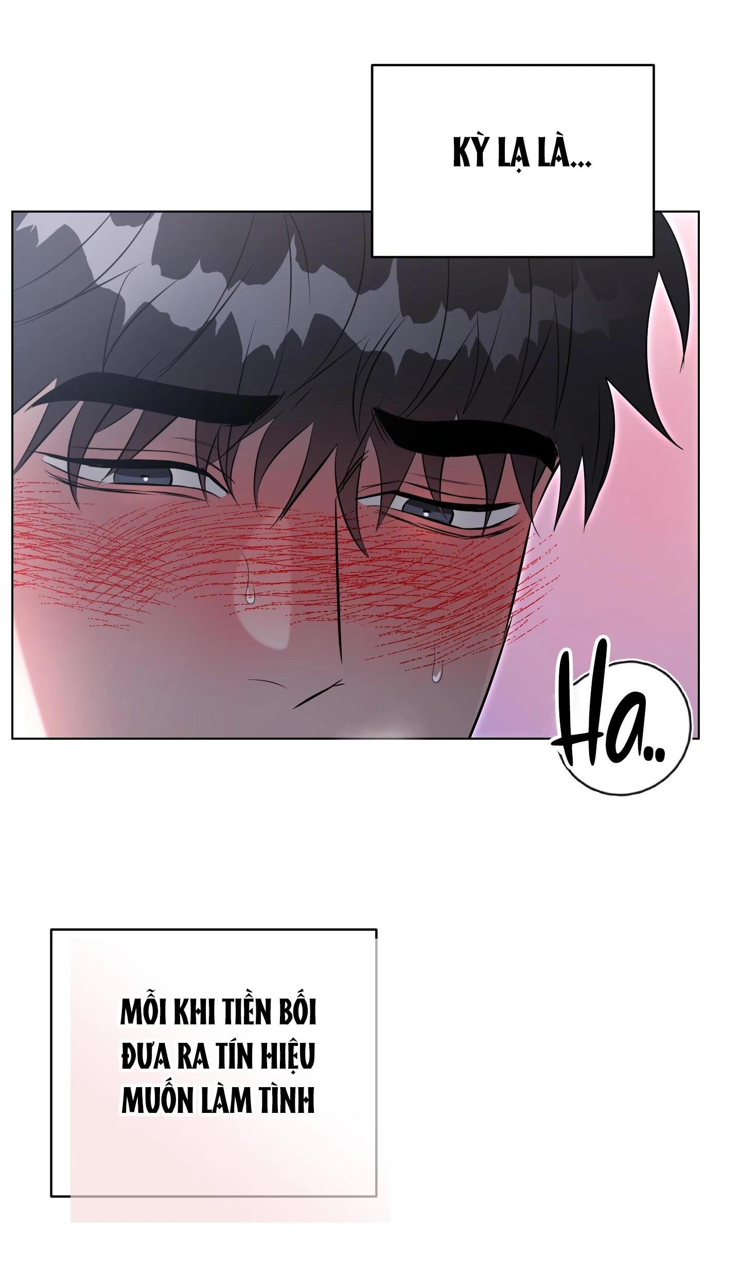 Đọc truyện VỰC RẮN - Chapter 12