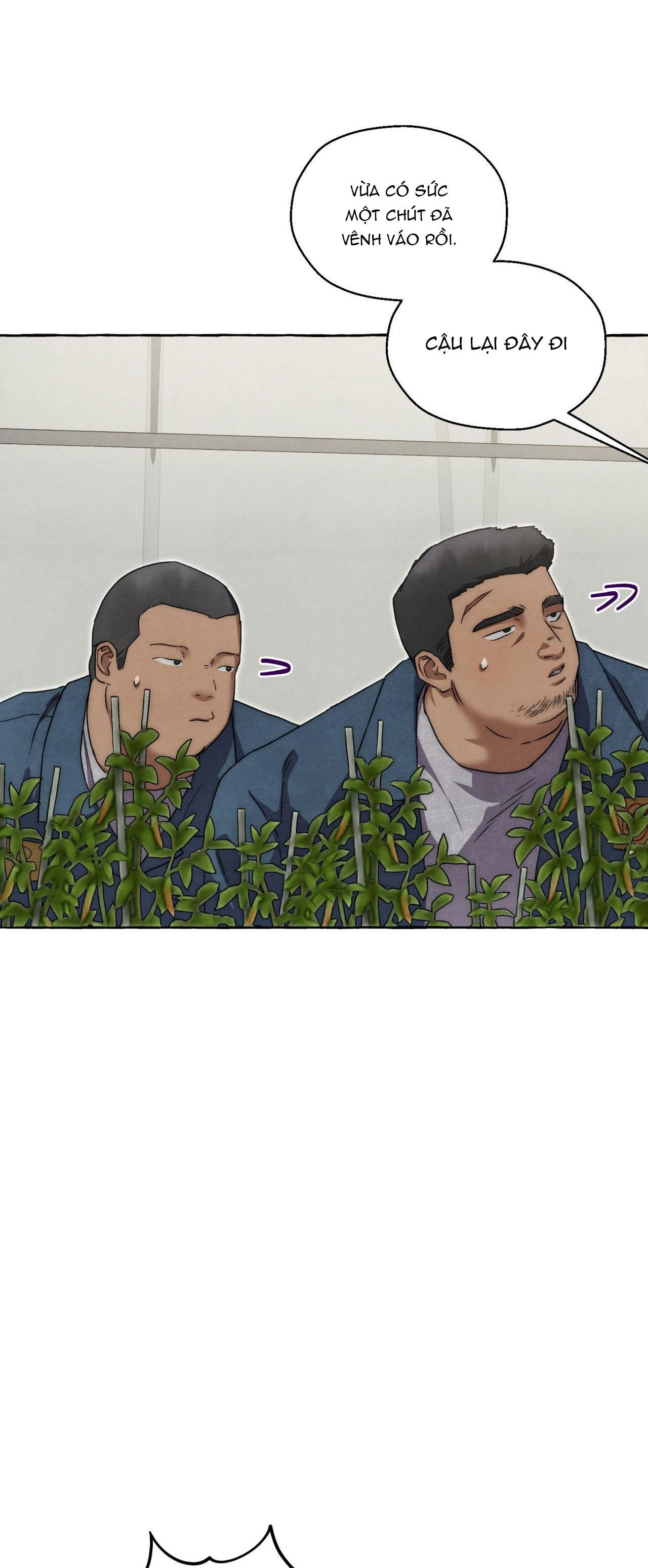 Đọc truyện NHỮNG CON CHÓ TRONG TÙ - Chapter 41