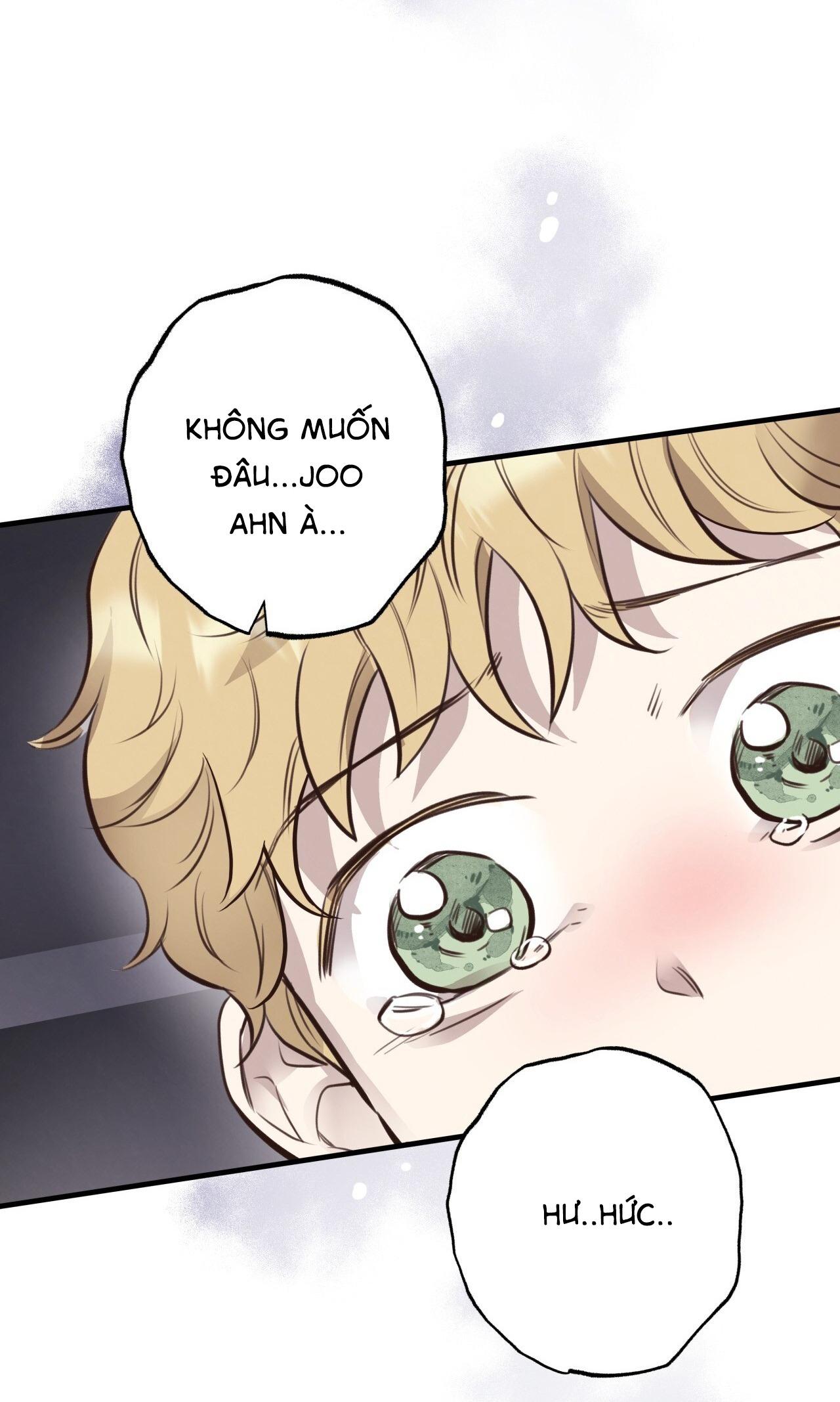 Đọc truyện MẬT GẤU - Chapter 38