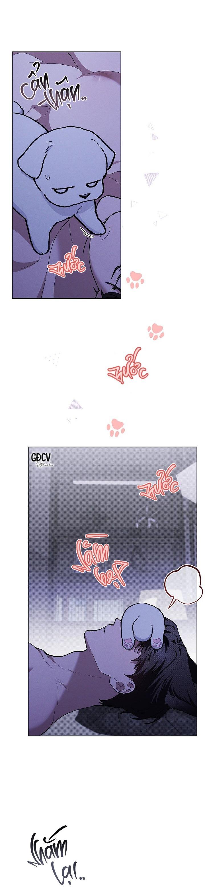 Đọc truyện ĐỪNG CHẠM VÀO CÚN CON CỦA TÔI - Chapter 7