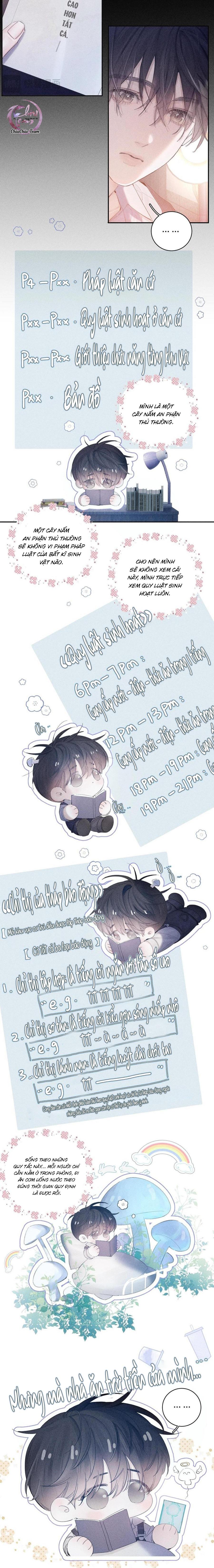 Đọc truyện Cây Nấm Nhỏ - Chapter 11