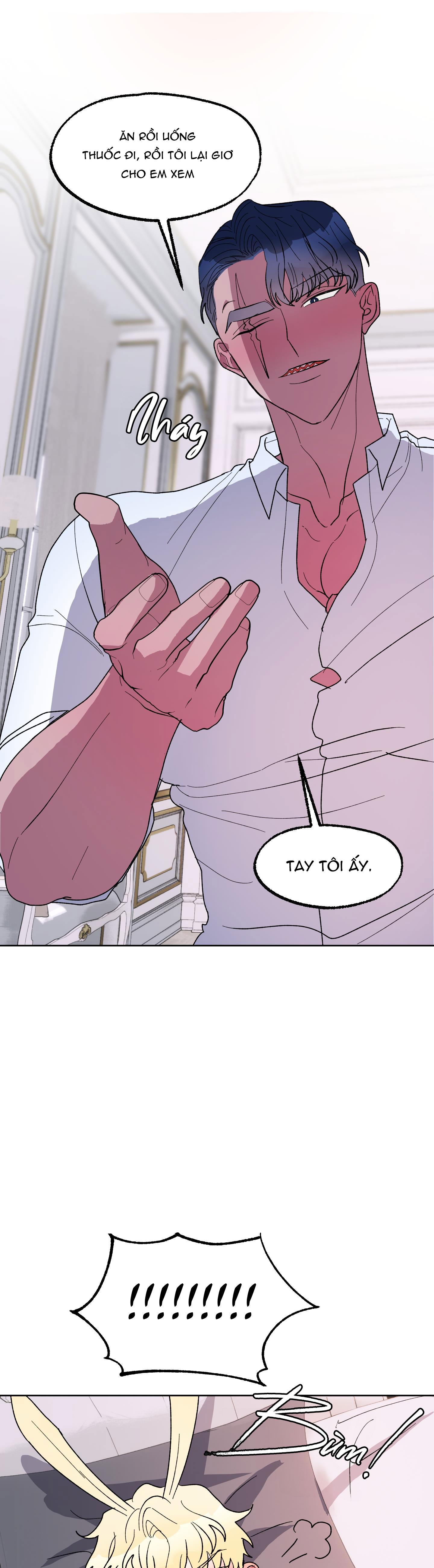 Đọc truyện CÁ MẬP VÀ CÔ DÂU THỎ - Chapter 17