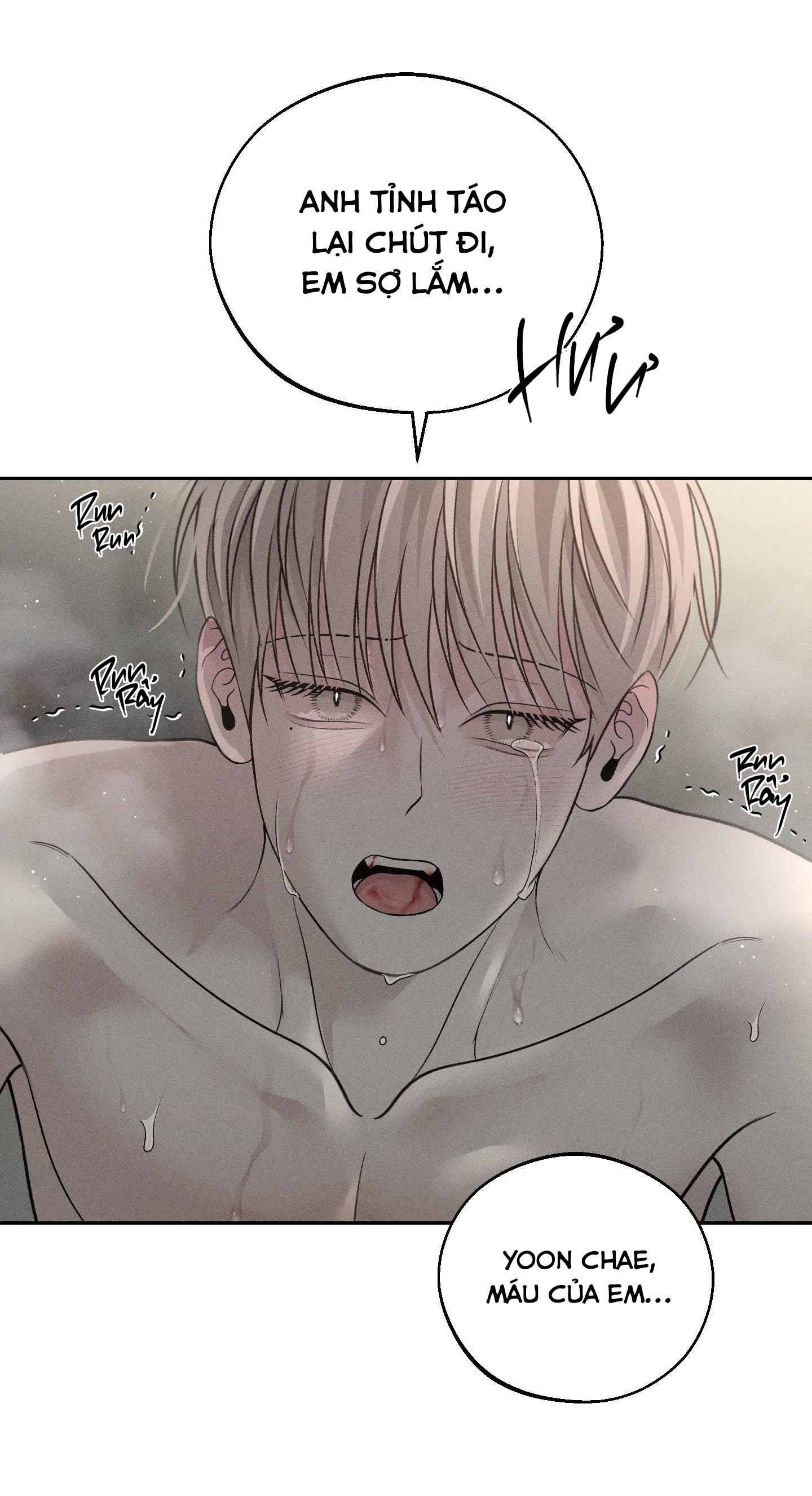 Đọc truyện MÁU ĐỔ - Chapter 5