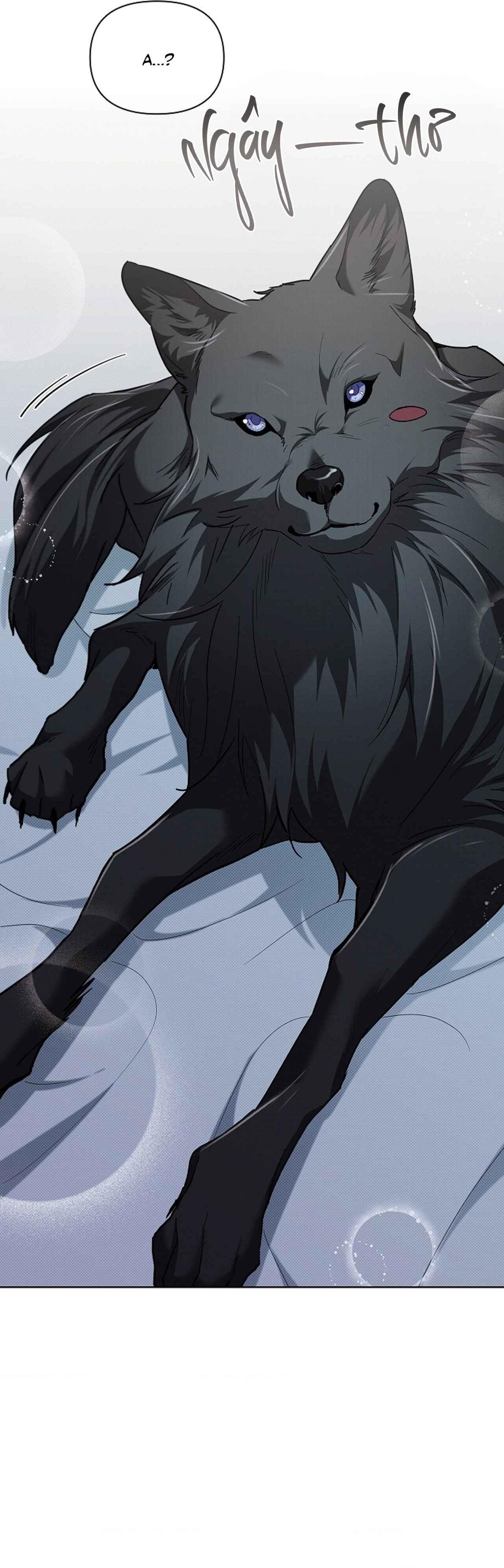 Đọc truyện ĐỪNG CHẠM VÀO CÚN CON CỦA TÔI - Chapter 27