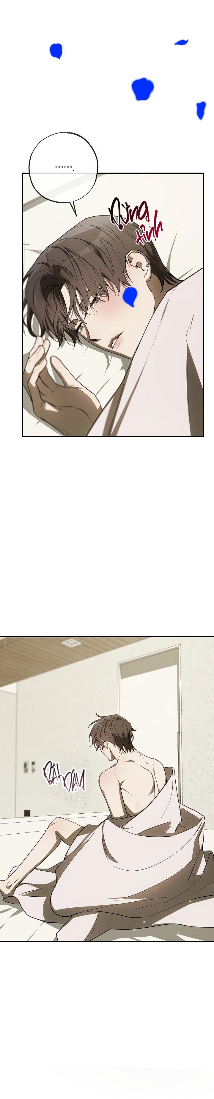 Đọc truyện BẢO VẬT - Chapter 29