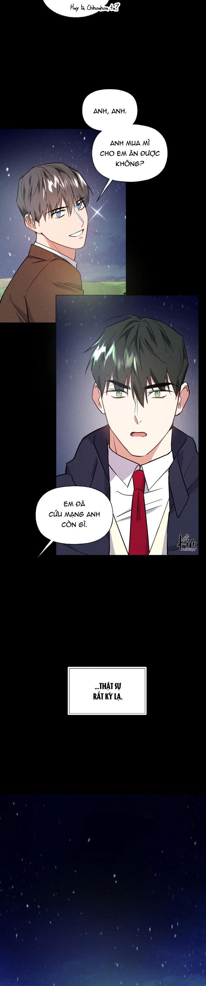 Đọc truyện TÌNH YÊU KHÔNG TỔN THẤT - Chapter 22