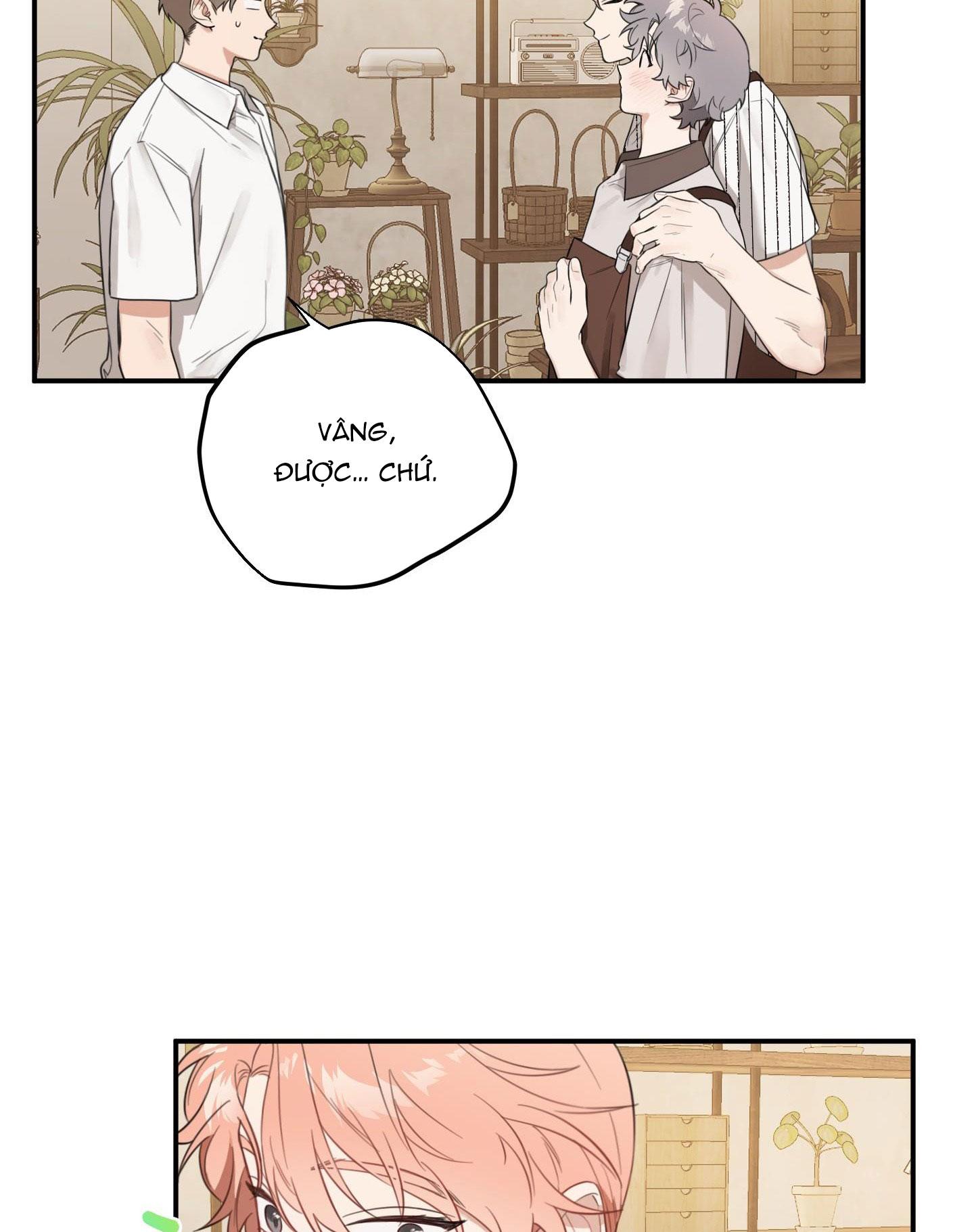 Đọc truyện VƯỜN HOA - Chapter 31