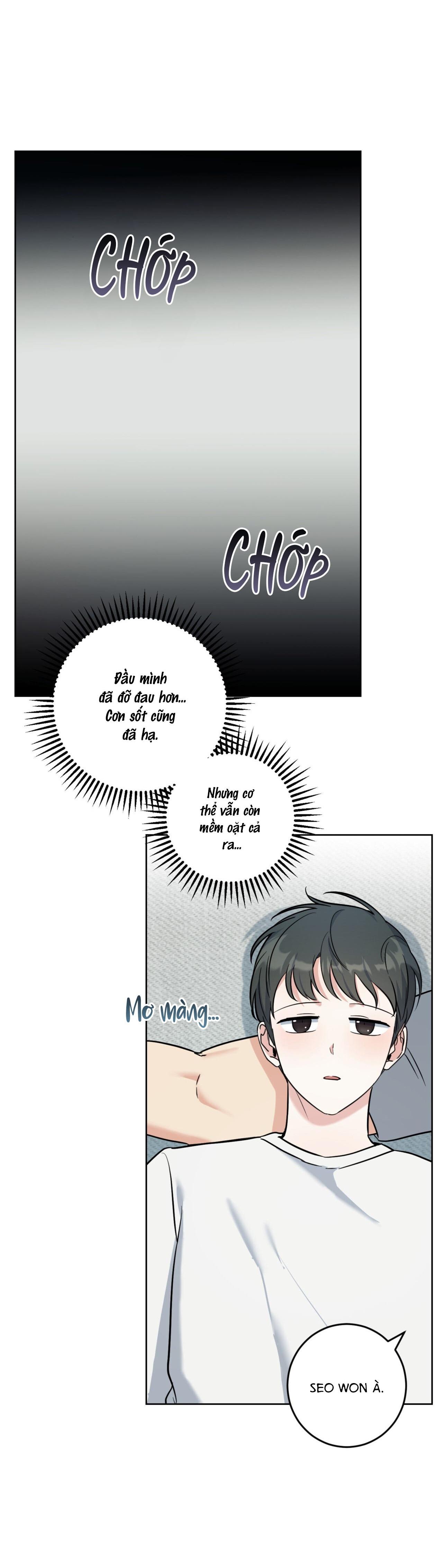 Đọc truyện  Khu Rừng Tĩnh Lặng - Chapter 24