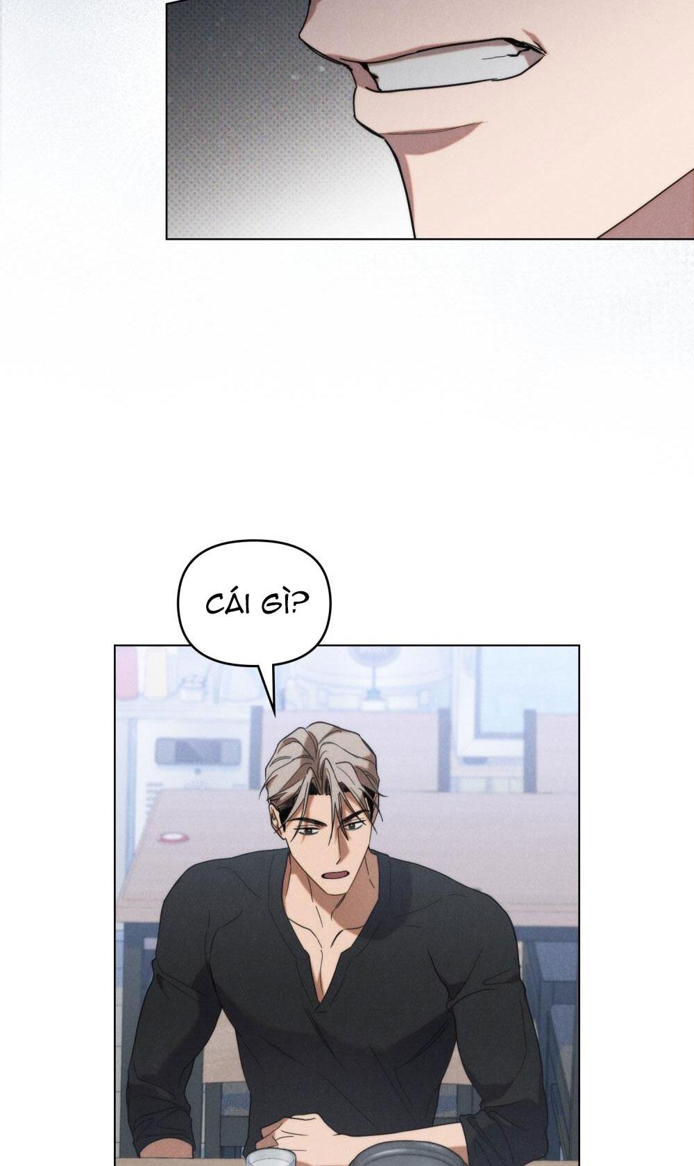 Đọc truyện NGƯỜI TÌNH BÍ MẬT - Chapter 13