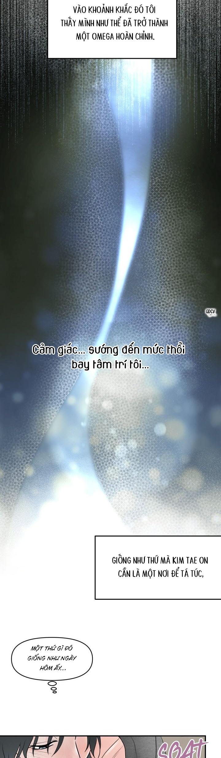 Đọc truyện HOA KHÔNG HƯƠNG - Chapter 6
