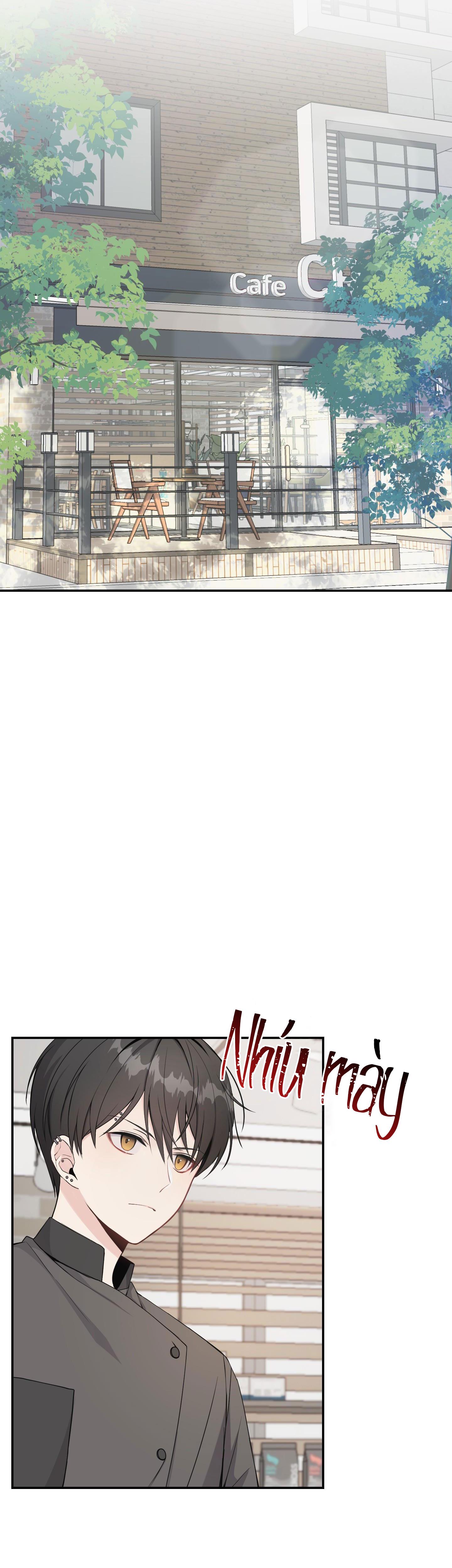 Đọc truyện BẮT ĐẦU BÁM ĐUÔI - Chapter 1