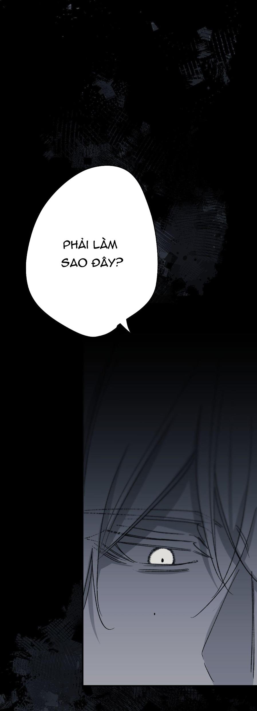 Đọc truyện 16647 - Chapter 11