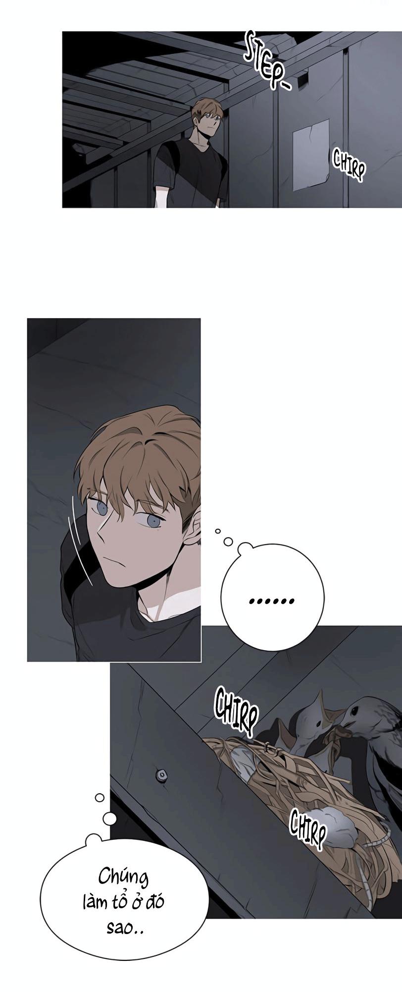 Đọc truyện Đường Chim Bay - Chapter 1