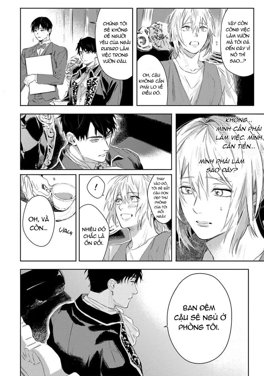 Đọc truyện Hoa hồng dại và những kẻ giả tạo - Chapter 1