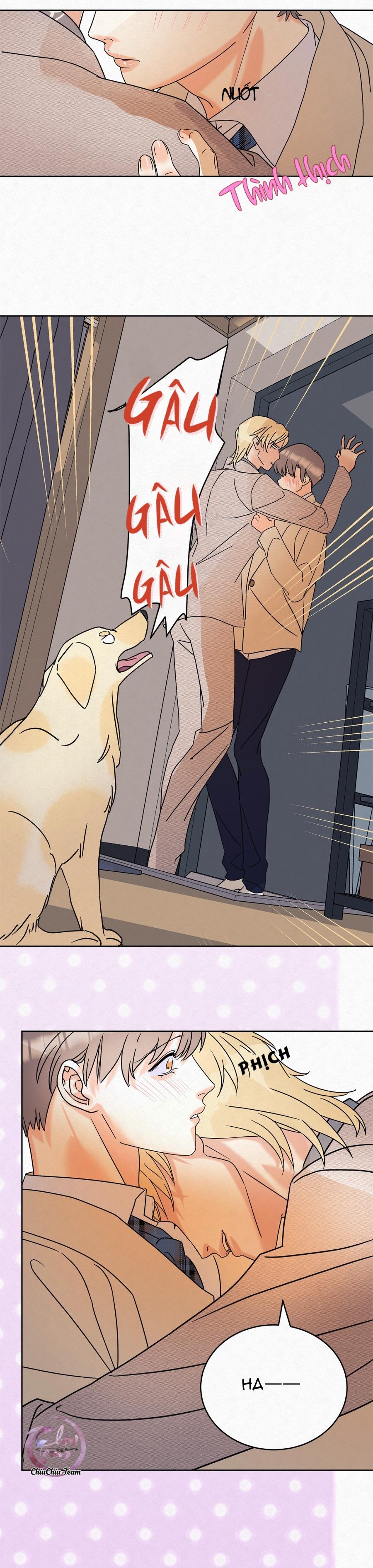 Đọc truyện Anh Trai Rẻ Tiền Của Tôi (END) - Chapter 9
