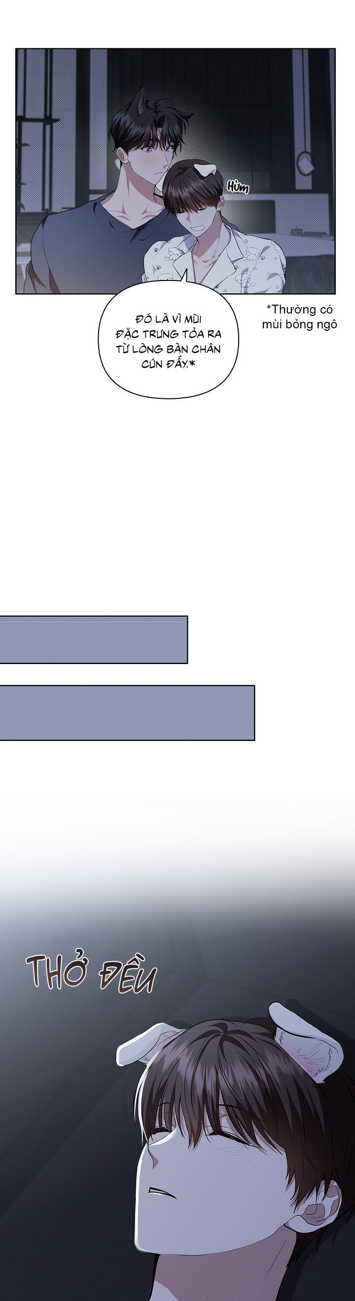 Đọc truyện ĐỪNG ĐỘNG VÀO CÚN CON! - Chapter 18