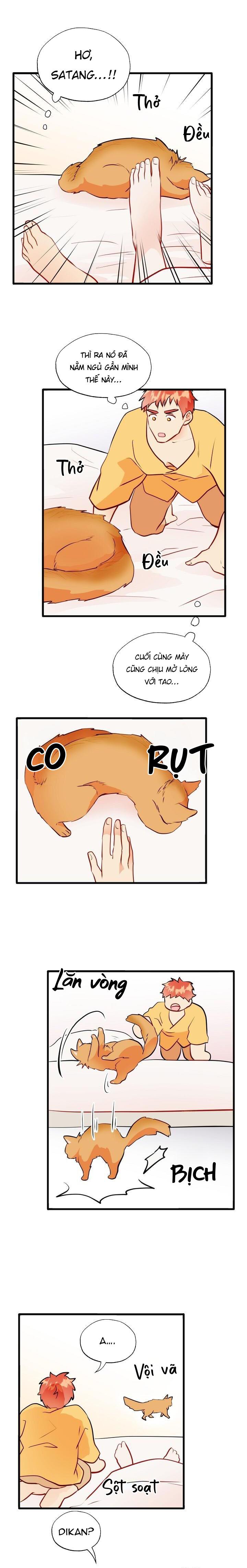 Đọc truyện Phù Thủy Gợi Tình - Chapter 66