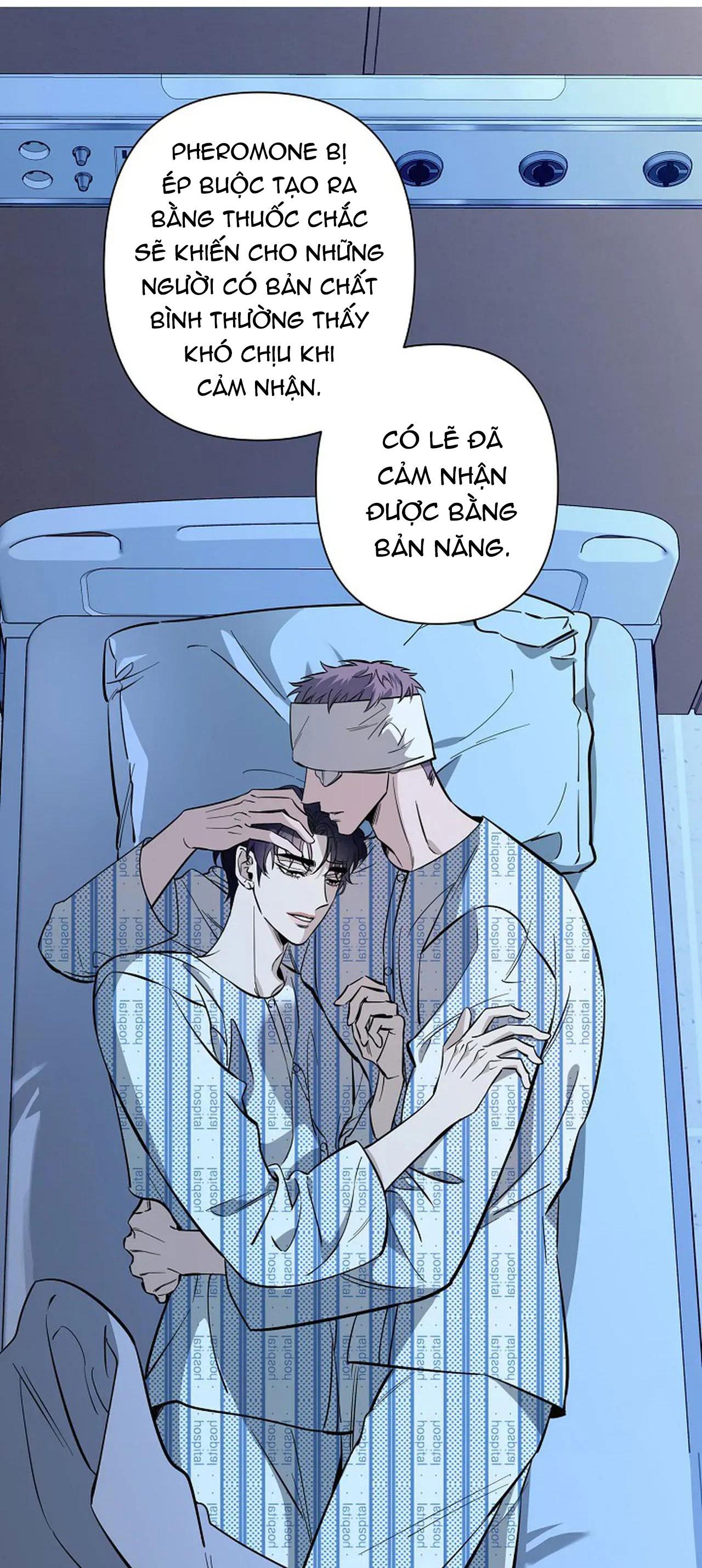 Đọc truyện ĐÊM DỊU DÀNG - Chapter 71