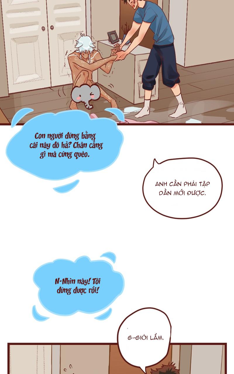 Đọc truyện BAILIN AND LIYUN ( NEW SS ) - Chapter 57