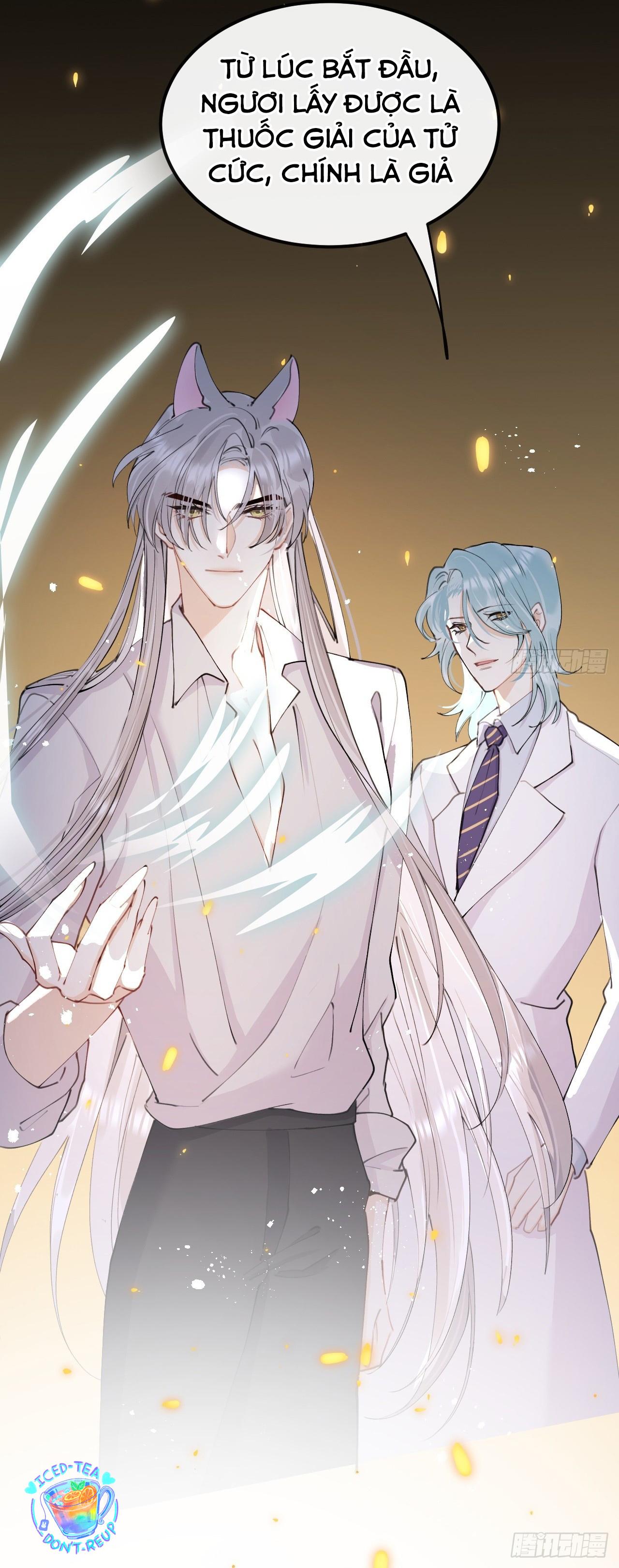 Đọc truyện Lang Sói Thượng Khẩu - Chapter 81