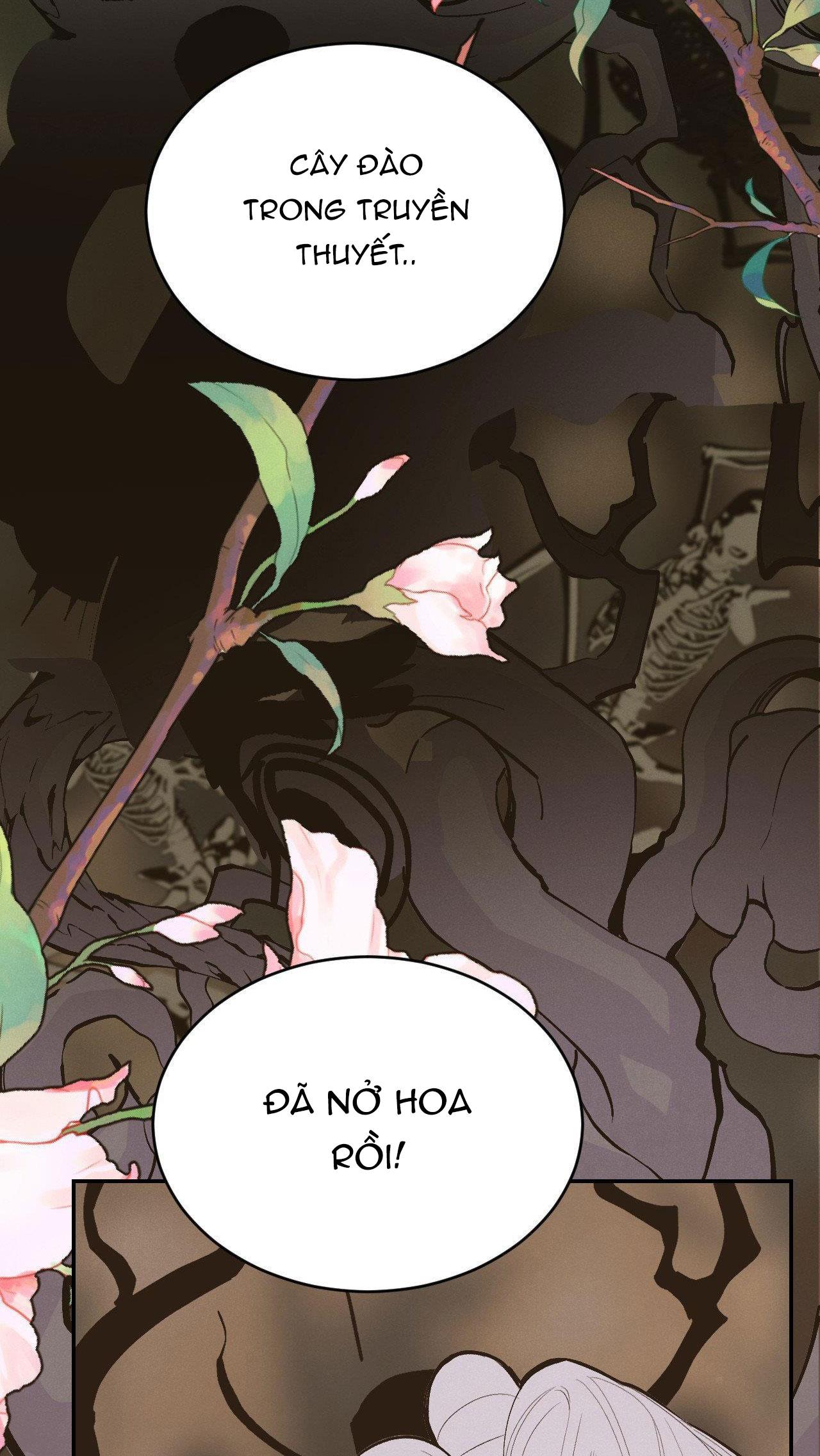 Đọc truyện CẬU BÉ ĐÀO - Chapter 34