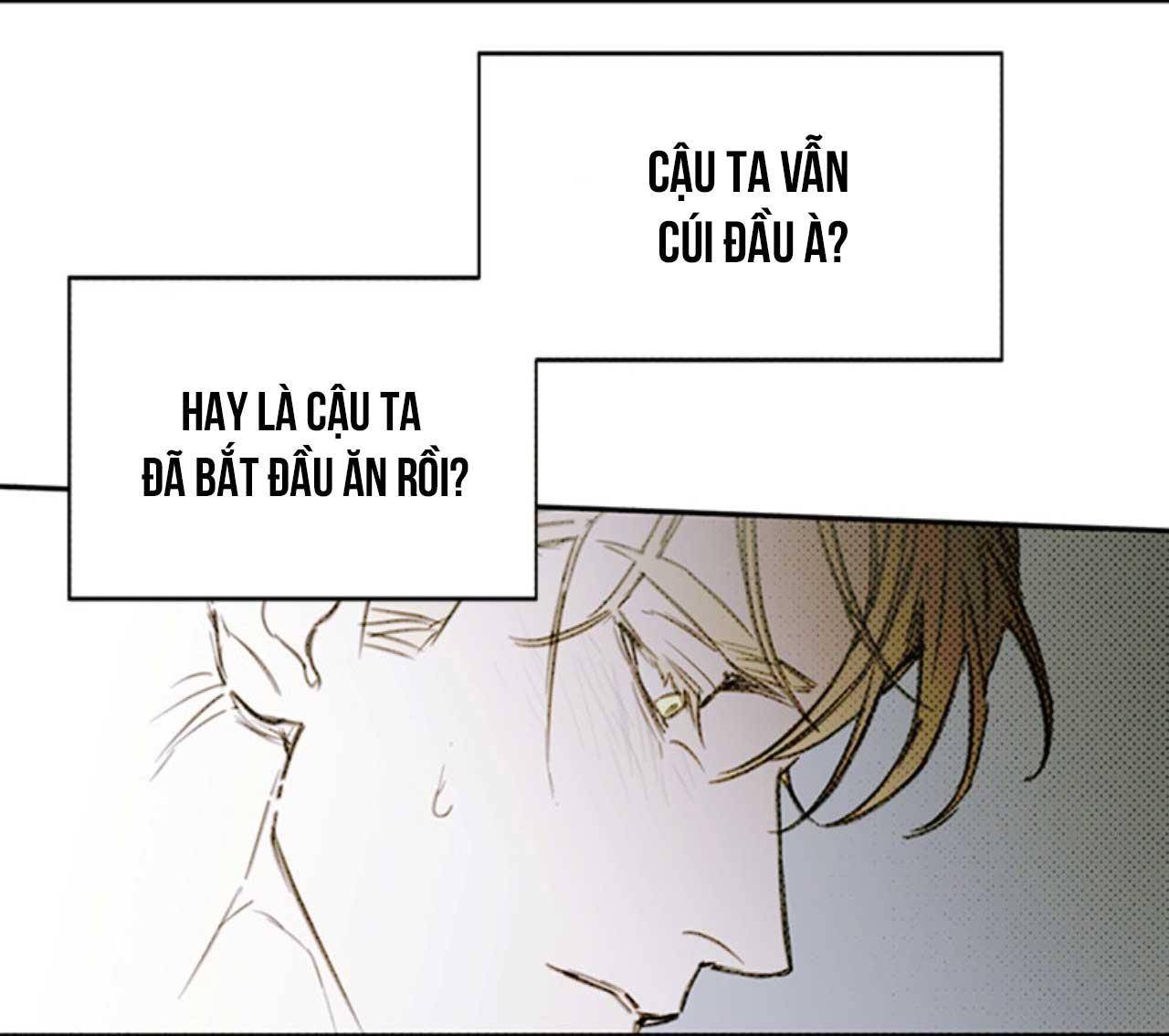 Đọc truyện SOLO FOR TWO - Chapter 1