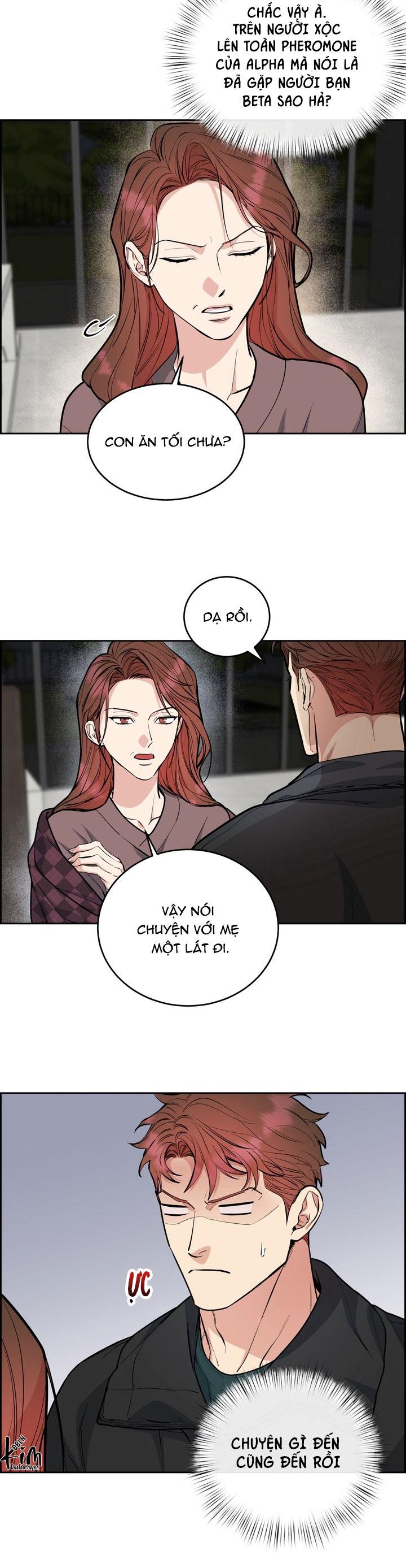 Đọc truyện CHÓ VÀ CHIM - Chapter 44