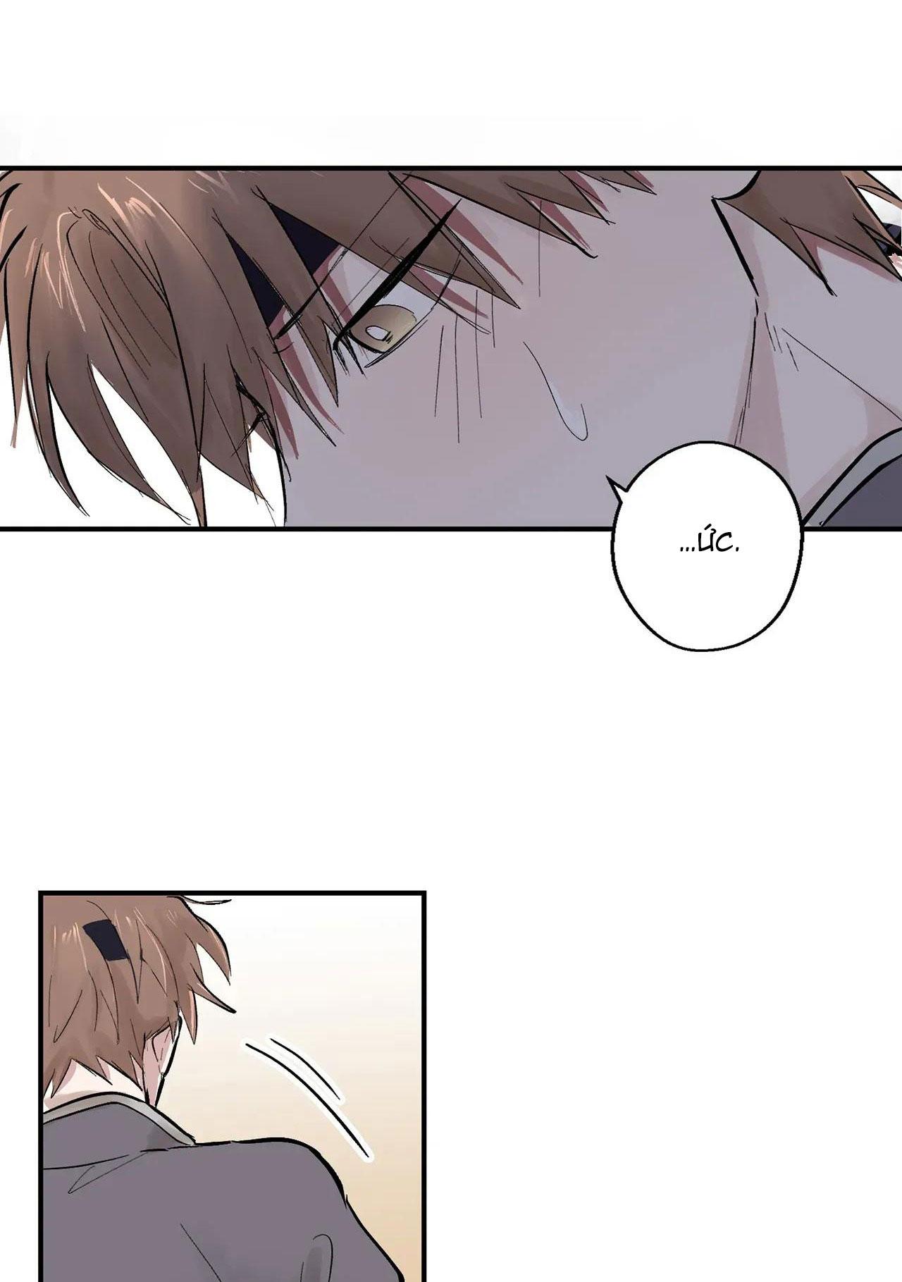 Đọc truyện BL CỔ TRANG-ÂU CỔ NGẮN NHÀ KIM - Chapter 38.2