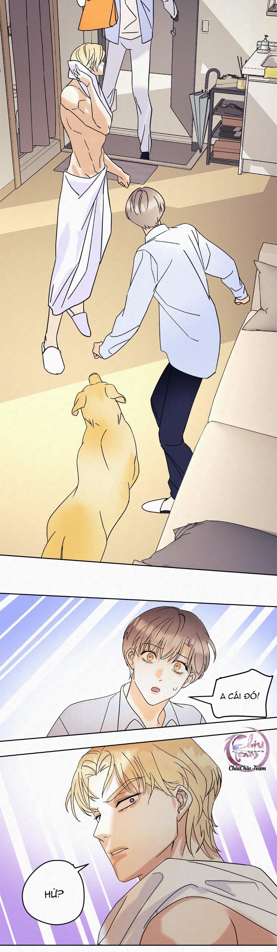 Đọc truyện Anh Trai Rẻ Tiền Của Tôi (END) - Chapter 9