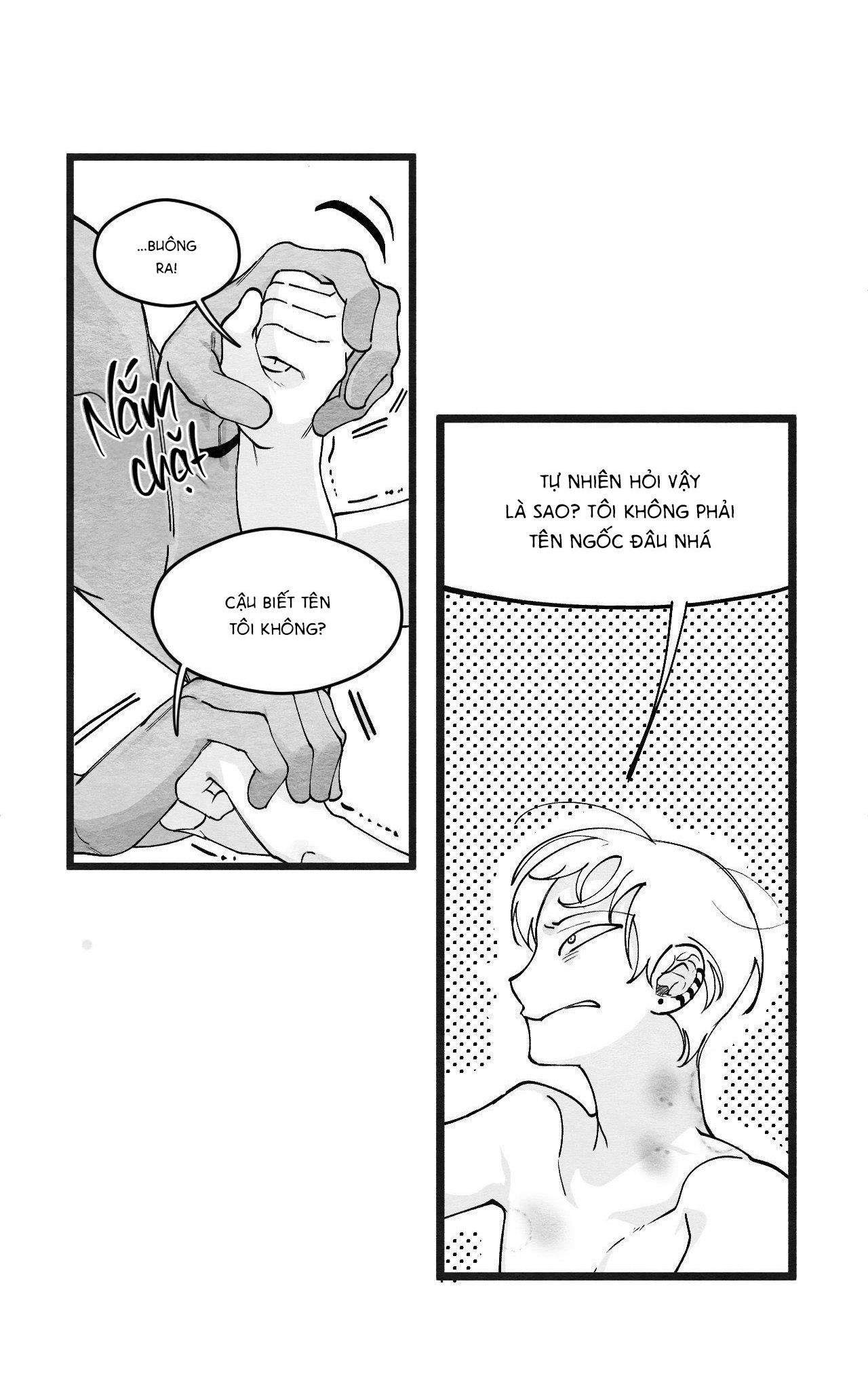 Đọc truyện Vóc Dáng Toàn Mỹ - Chapter 1