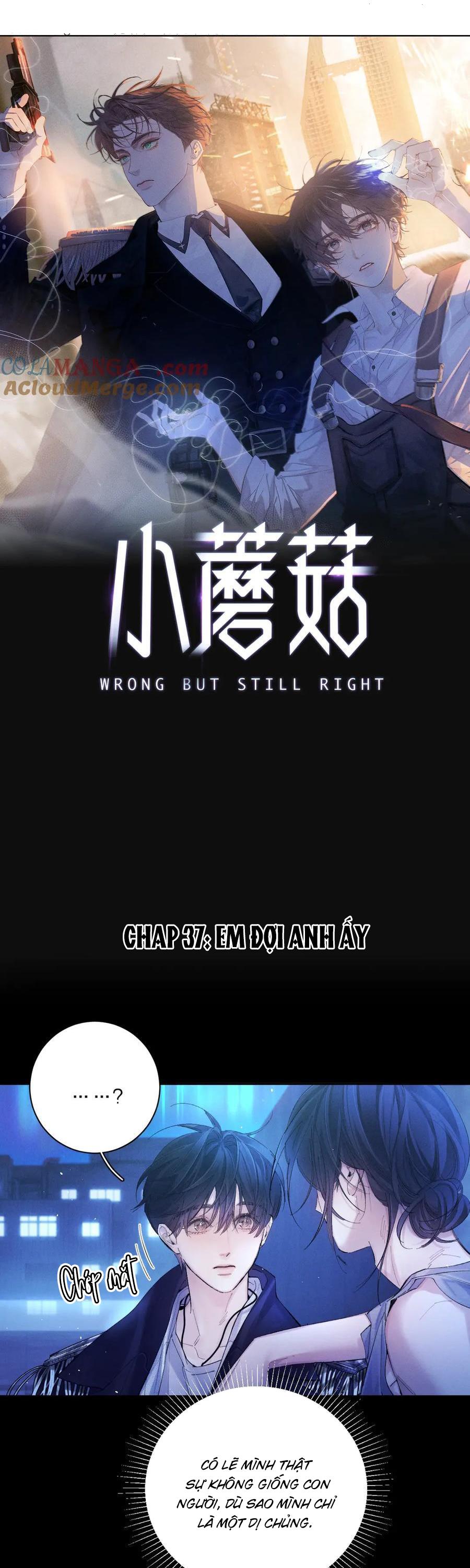 Đọc truyện Cây Nấm Nhỏ - Chapter 37