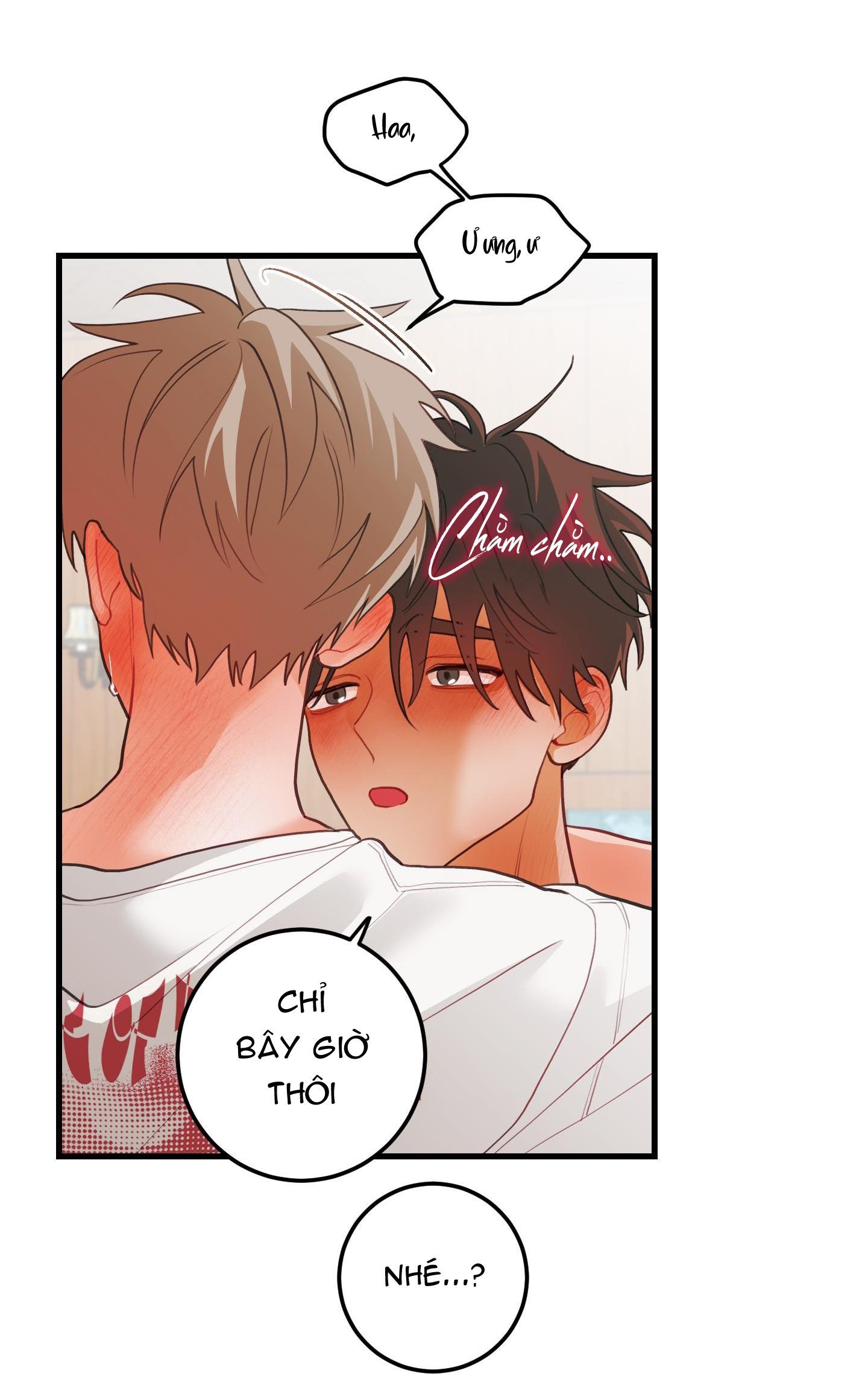 Đọc truyện CHUYỆN TÌNH HOA LÊ NỞ - Chapter 37