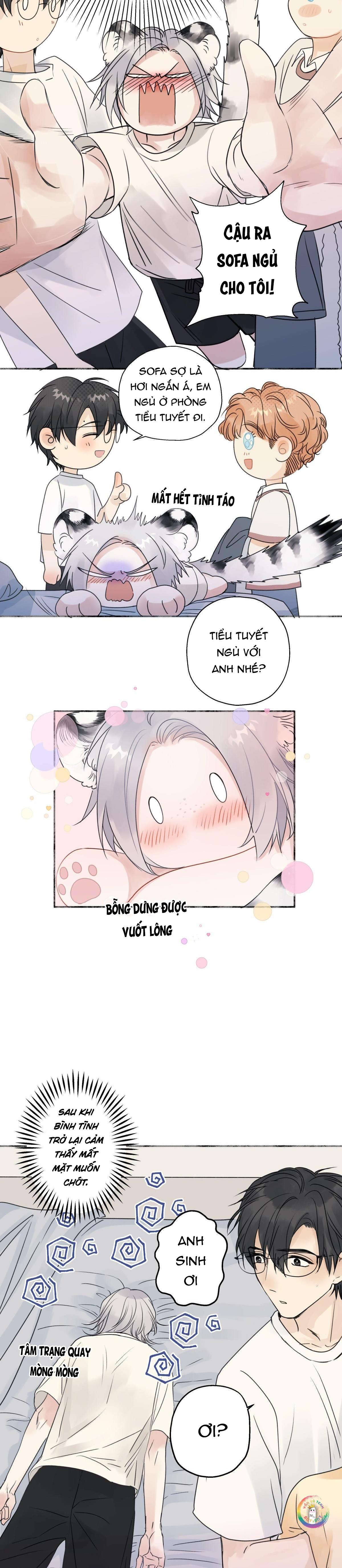 Đọc truyện Dương Sinh Tiểu Tuyết (DROP) - Chapter 28