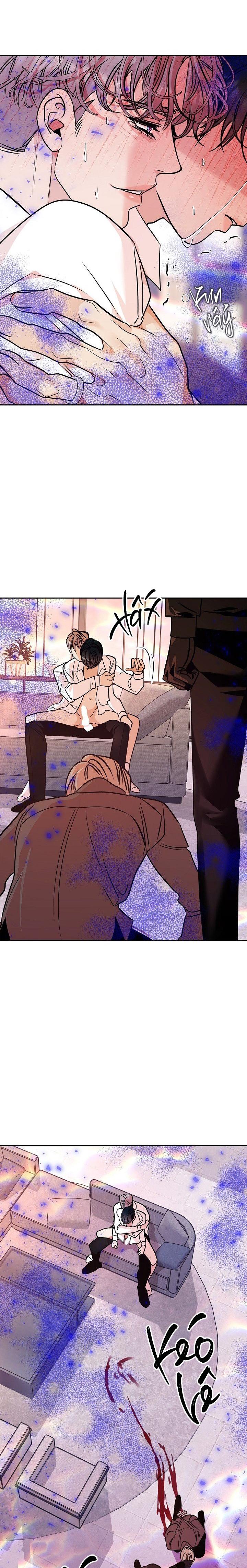 Đọc truyện NUÔI DƯỠNG BETA - Chapter 14