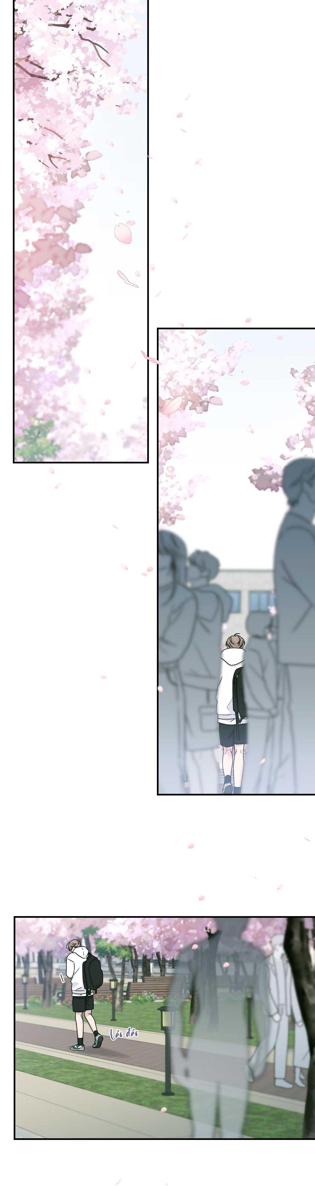 Đọc truyện CHẤN THƯƠNG ALPHA - Chapter 14