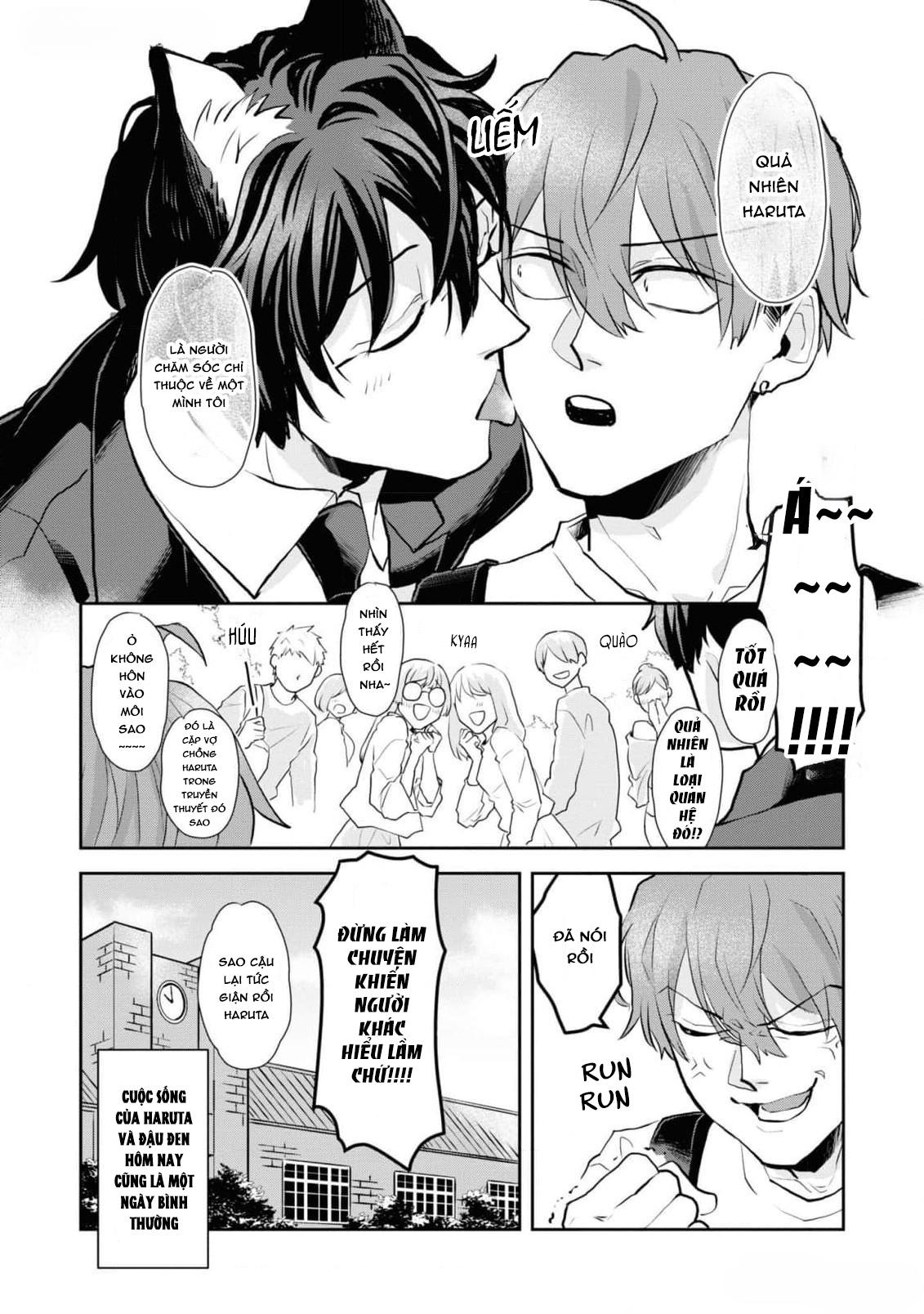 Đọc truyện Chú mèo đẹp trai muốn được Haruta nuôi dưỡng - Chapter 8