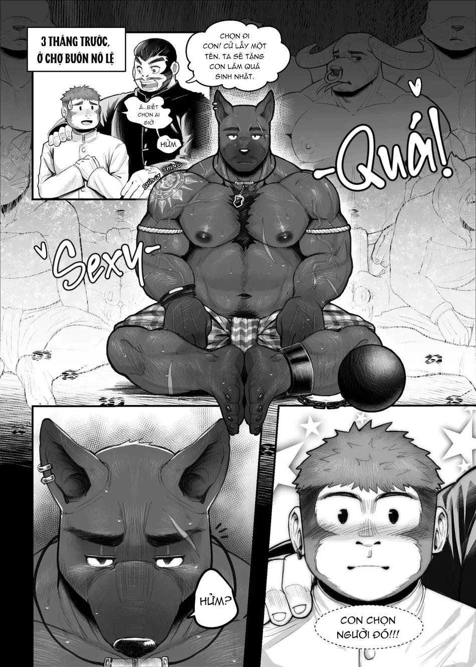 Đọc truyện TUYỂN TẬP GÂY NỨNG NHÀ RÔ - Chapter 86