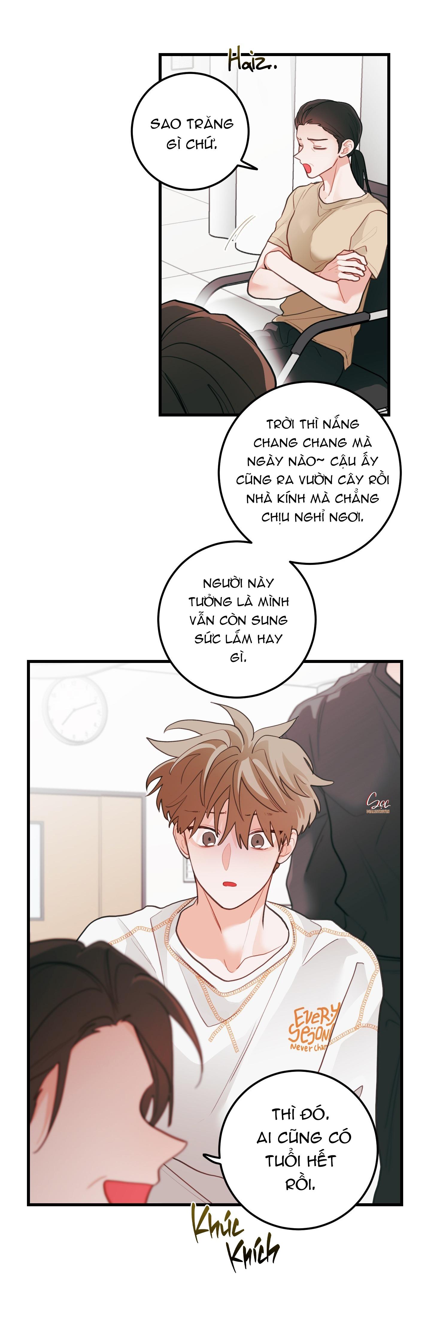 Đọc truyện CHUYỆN TÌNH HOA LÊ NỞ - Chapter 72