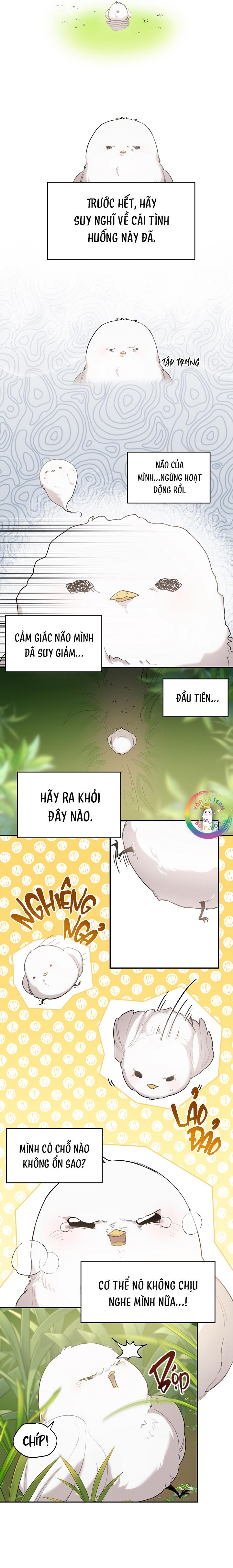 Đọc truyện (END) Này, Đừng Có Nhấn Cái Nút Đó! - Chapter 1