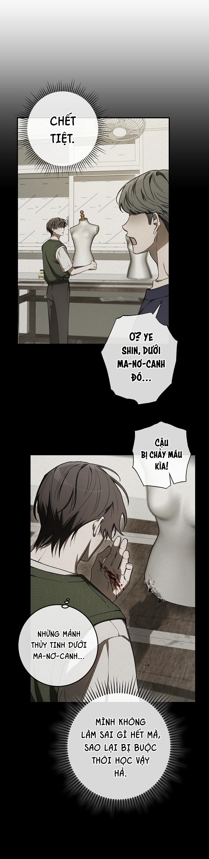 Đọc truyện BẢO VẬT - Chapter 29