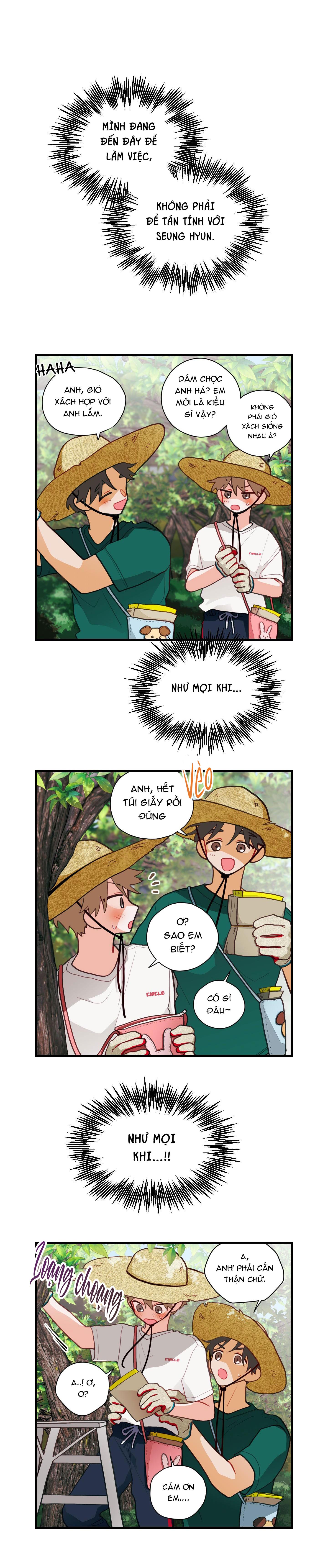 Đọc truyện CHUYỆN TÌNH HOA LÊ NỞ - Chapter 35