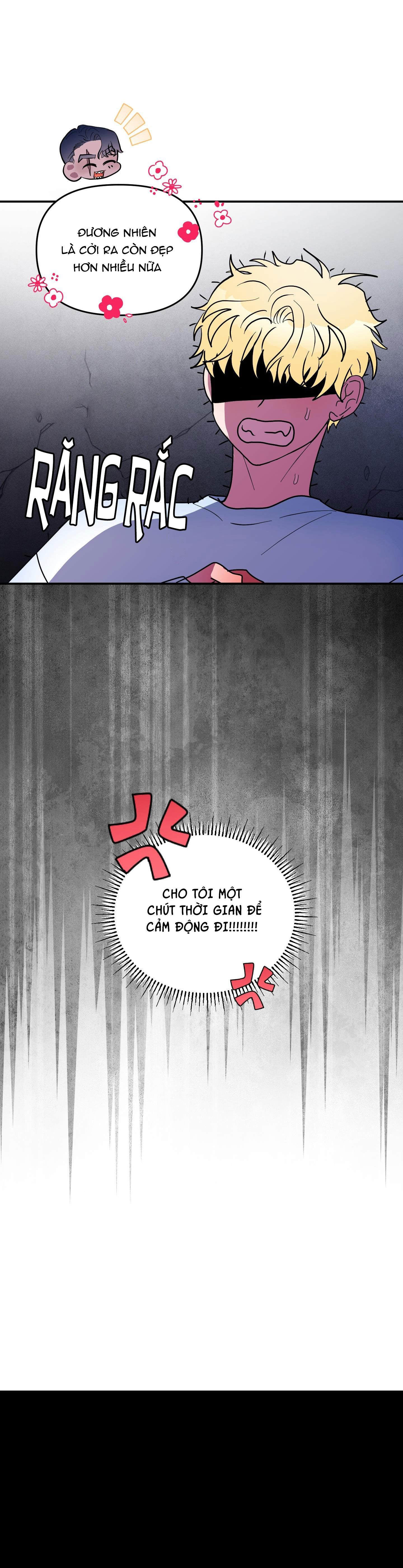 Đọc truyện CÁ MẬP VÀ CÔ DÂU THỎ - Chapter 41