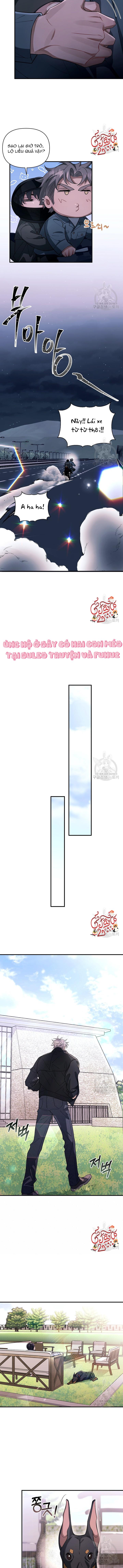 Đọc truyện Vết Cắn - Chapter 27