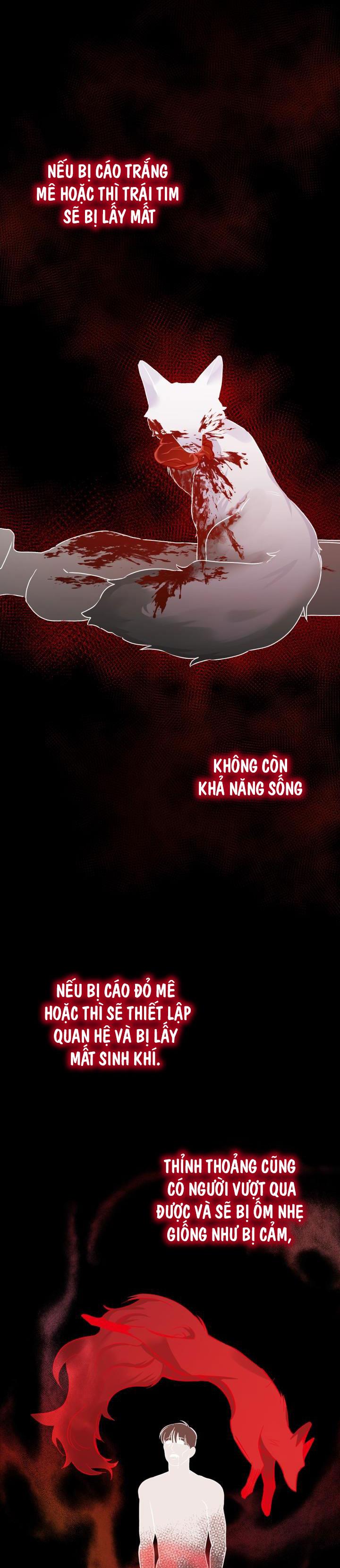 Đọc truyện SĂN CÁO - Chapter 2