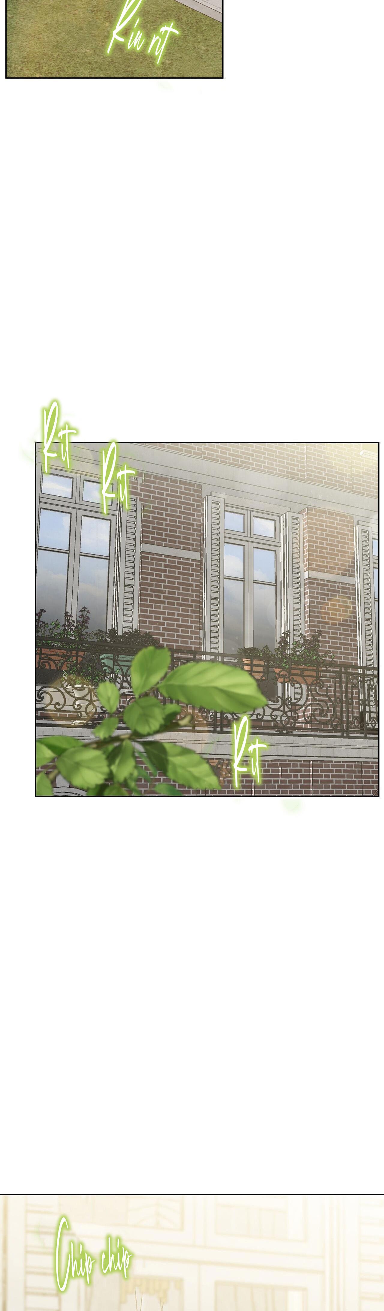 Đọc truyện INTO THE ROSE GARDEN - Chapter 53