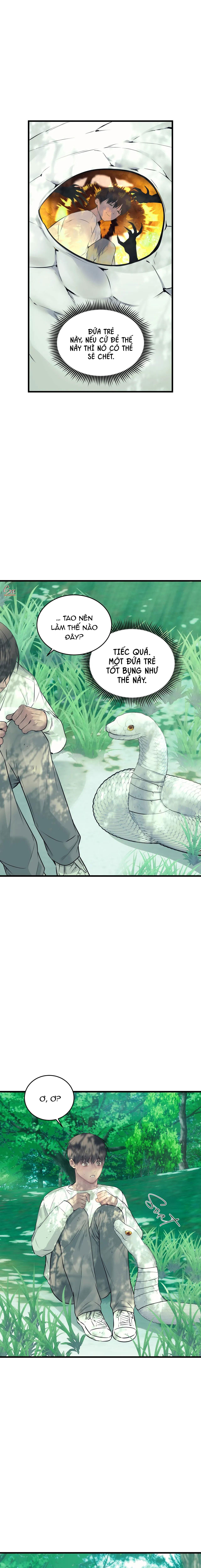 Đọc truyện ÂN NHÂN CỦA RẮN - Chapter 22